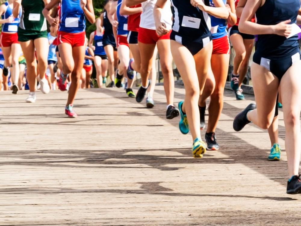 People running in a cross country race