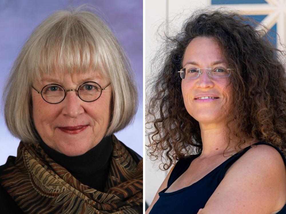 Elizabeth R. Baer/Shira Klein